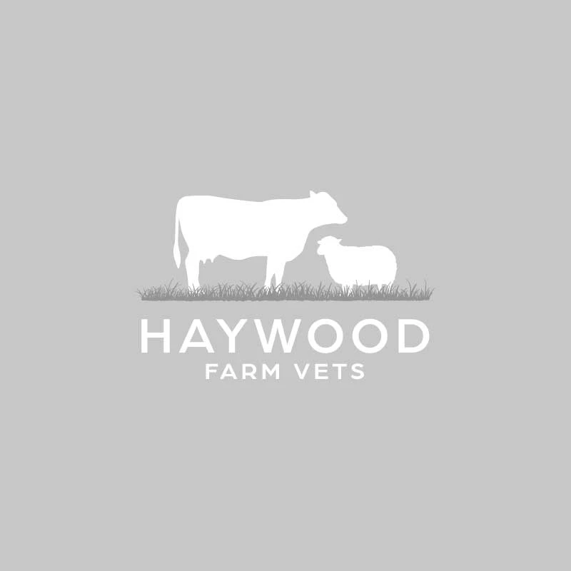 Haywood Farm Vets team